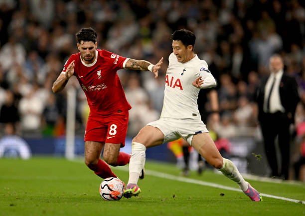 的关键作用 的关键作用